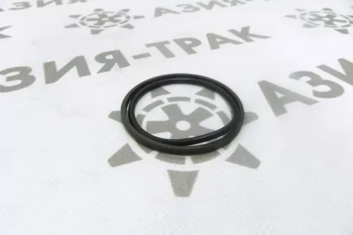 Уплотнительное кольцо PGR 70-59-4.2