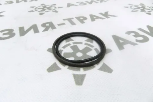 Уплотнительное кольцо PGR 70-59-4.2