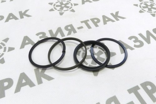 Уплотнительное кольцо SPW 75-60-10.5 фото 3