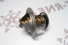 600-421-6110 Термостат 600-421-6110 Термостат