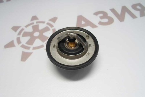 MM43213503 Термостат фото 4