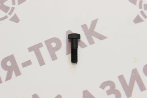 Болт для опорного 10*1*35