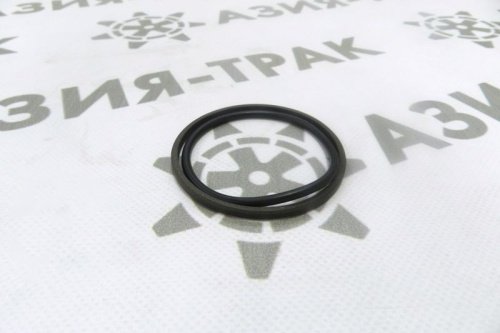 Уплотнительное кольцо PGR 70-59-4.2