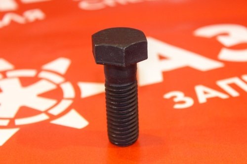 Болт для приводной звезды 18*2.5*50 фото 3