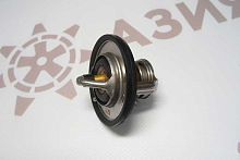 119717-49800 Термостат 119717-49800 Термостат