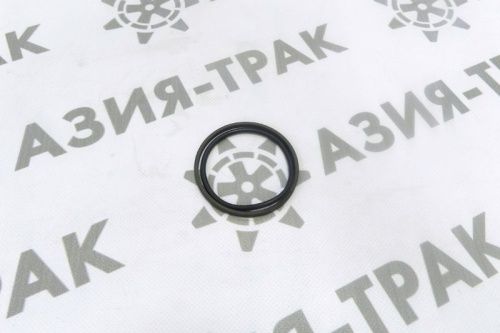 Уплотнительное кольцо PGR 70-59-4.2 фото 2