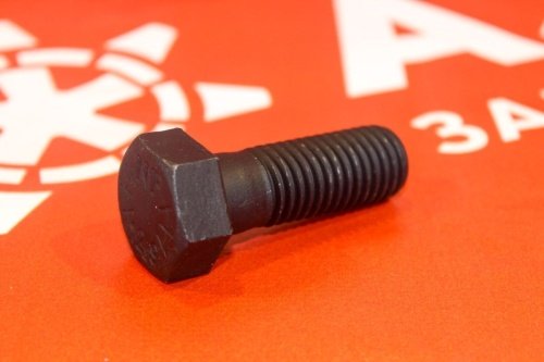 Болт для приводной звезды 18*2.5*50 фото 2