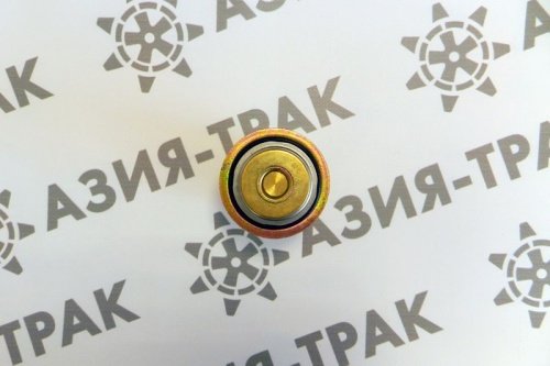 5274887 Термостат фото 3