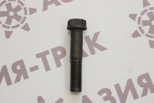 Болт для опорного 18*2.5*100 Болт для опорного 18*2.5*100