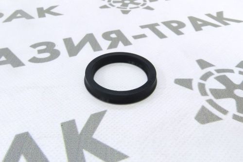 Пыльник IRS 55-68-10