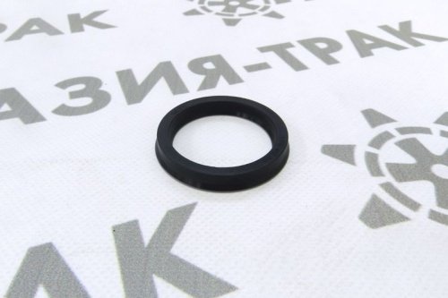 Пыльник IRS 55-68-10 Пыльник IRS 55-68-10